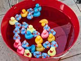 Colorful ducks await playful kids. © Robert Gary