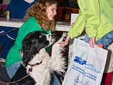 Therapy dogs shared their love with event visitors. © Denise Gary